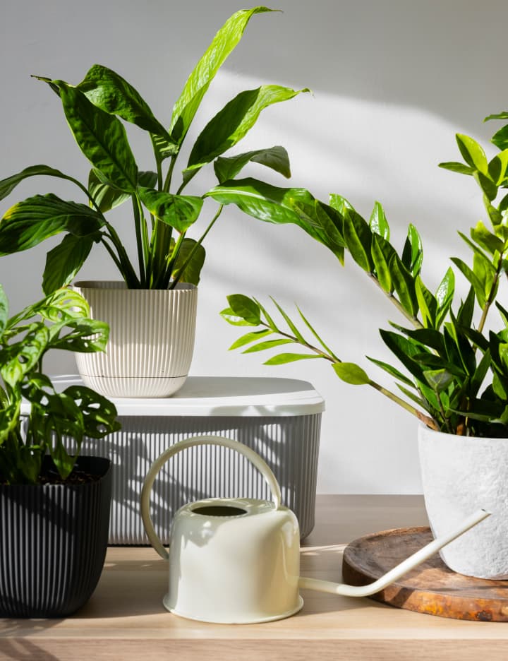 Decoración estratégica